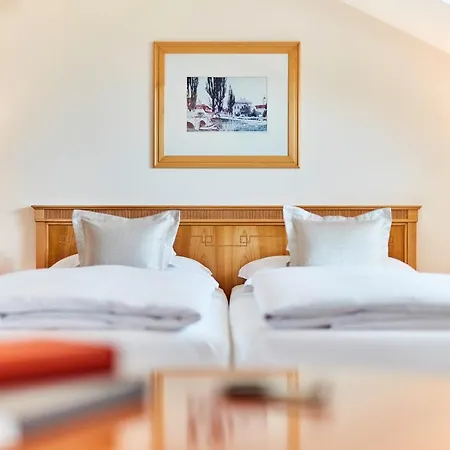Hotel Allee 4*